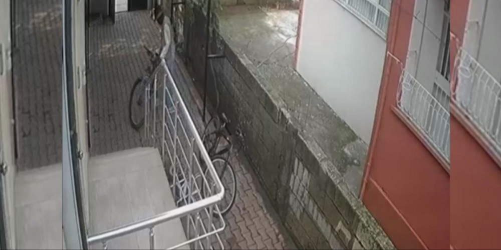 Maskeli Bisiklet Hırsızı Şüphelisi Yakalandı 